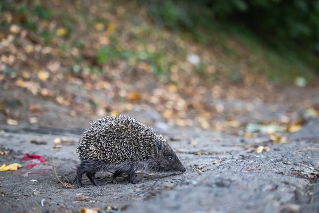 量中显然略 量中显然略