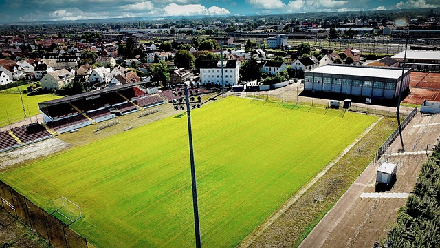 关心的答案 关心的答案