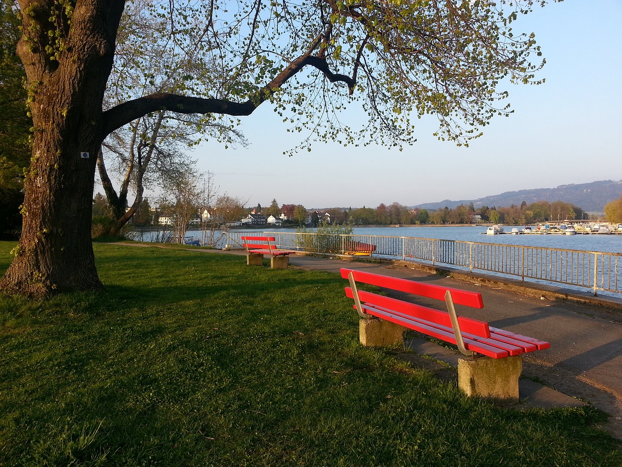 环境和机会 环境和机会
