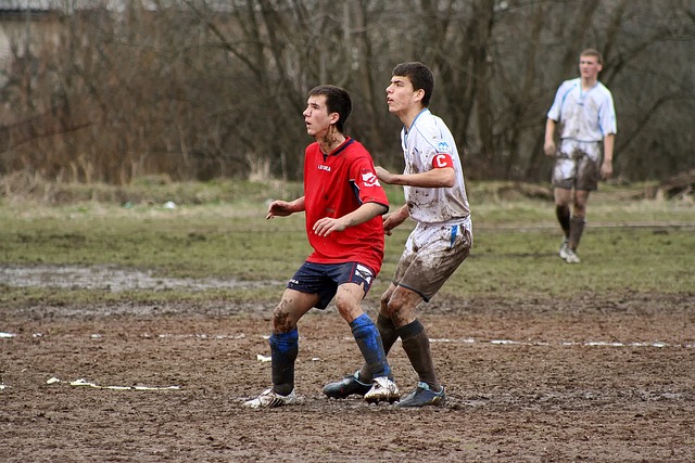 情与活力 情与活力