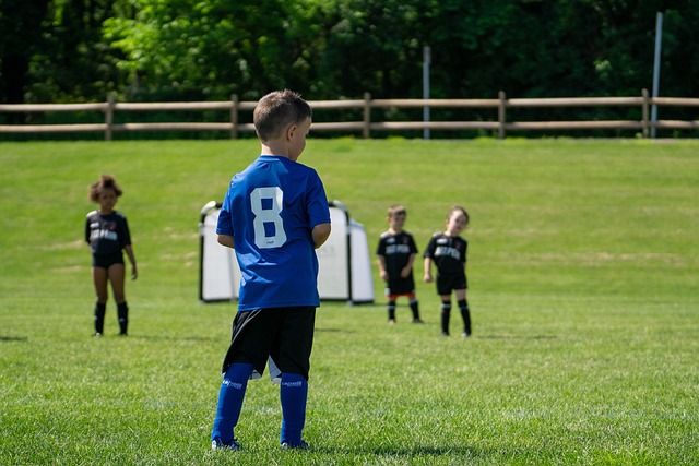 阿拉斯尼为 阿拉斯尼为