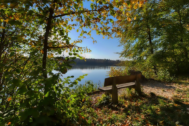 戏剧性较量 戏剧性较量