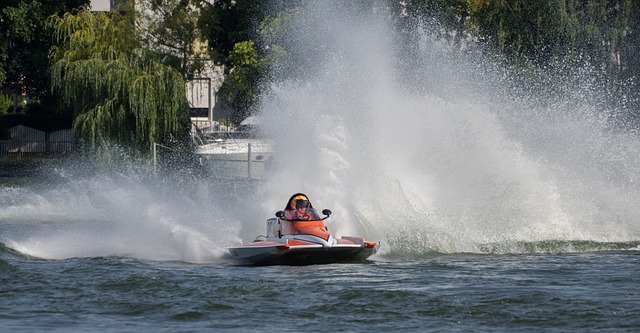 这位来自埃 这位来自埃