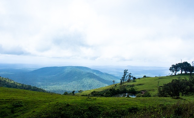 他在赛场努 他在赛场努